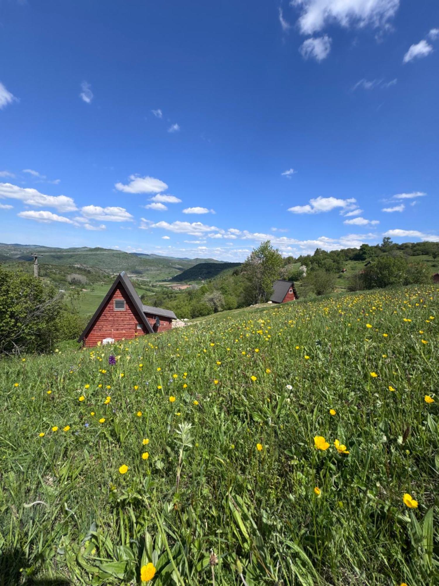 Uvacki Raj Villa Radijevici Luaran gambar