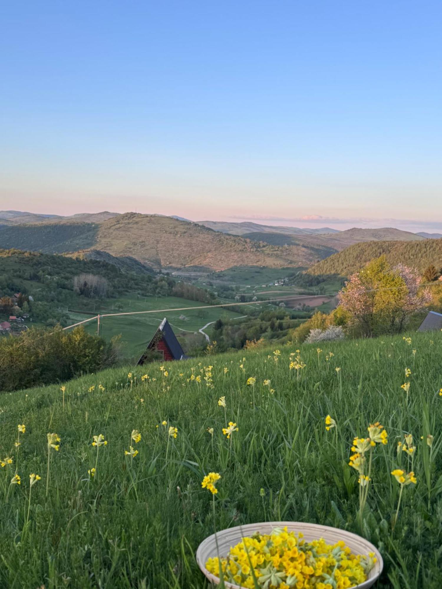 Uvacki Raj Villa Radijevici Luaran gambar