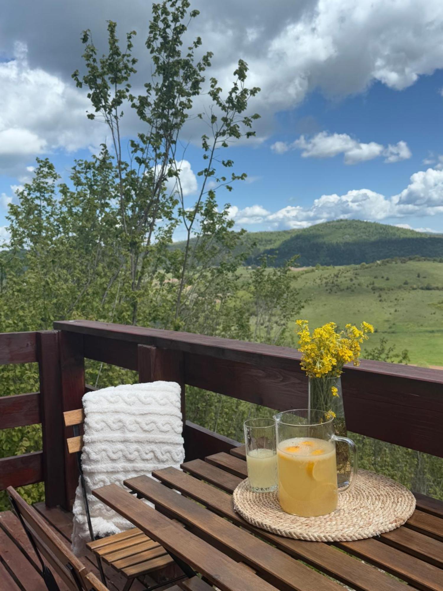 Uvacki Raj Villa Radijevici Luaran gambar
